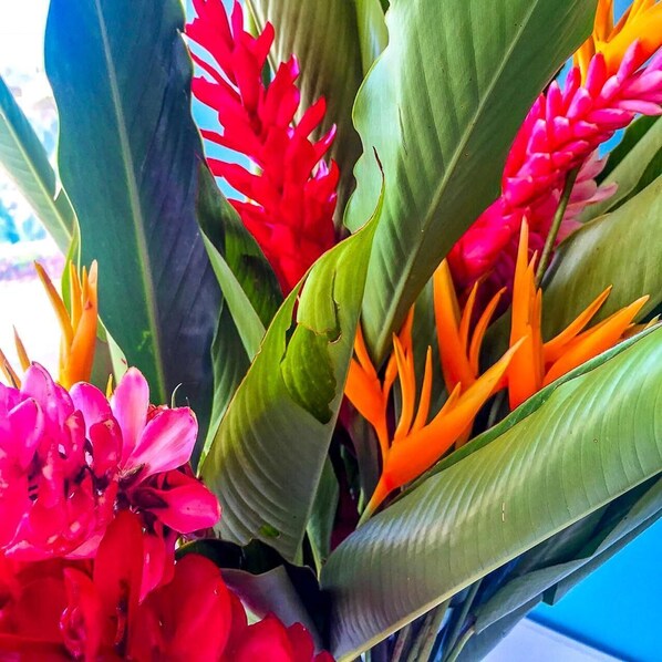 A close-up of vibrant flowers with green leaves.