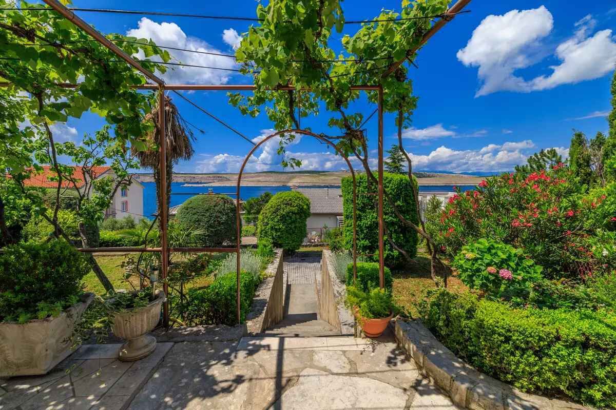 A garden with a pergola, potted plants, and a view of a body of water and buildings in the background.