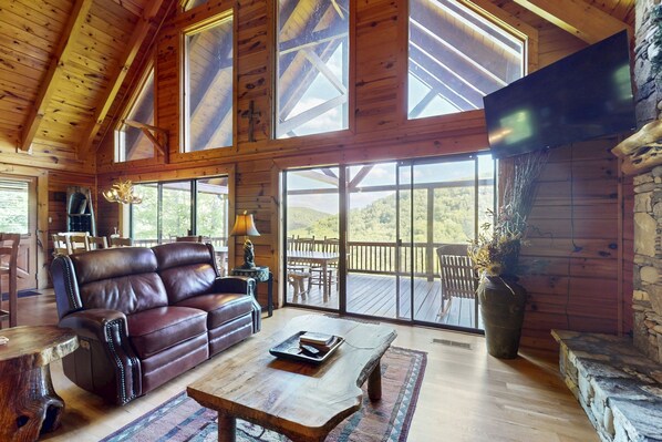 TV, fireplace, video games, DVD player