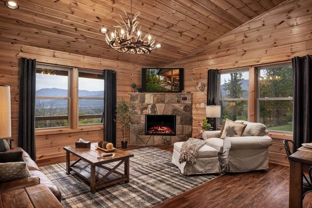 智能电视、壁炉、电子游戏、DVD 播放器