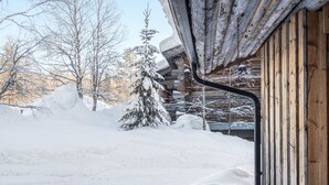 Uklassifisert bilde, 3 av 20, knapp