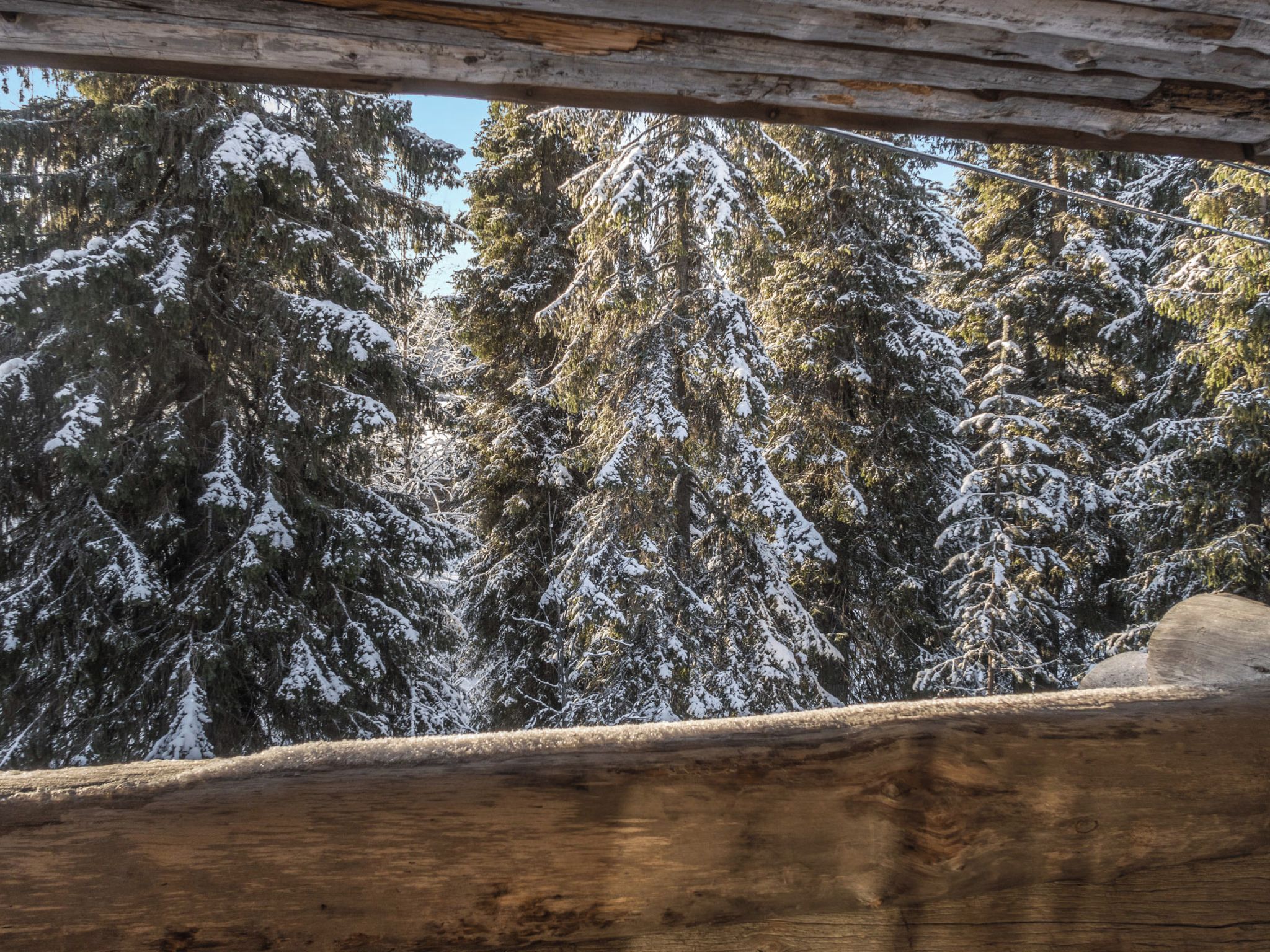 Una cabaña de madera con vistas a árboles cubiertos de nieve.
