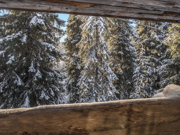 Una baita di legno con vista su alberi innevati.