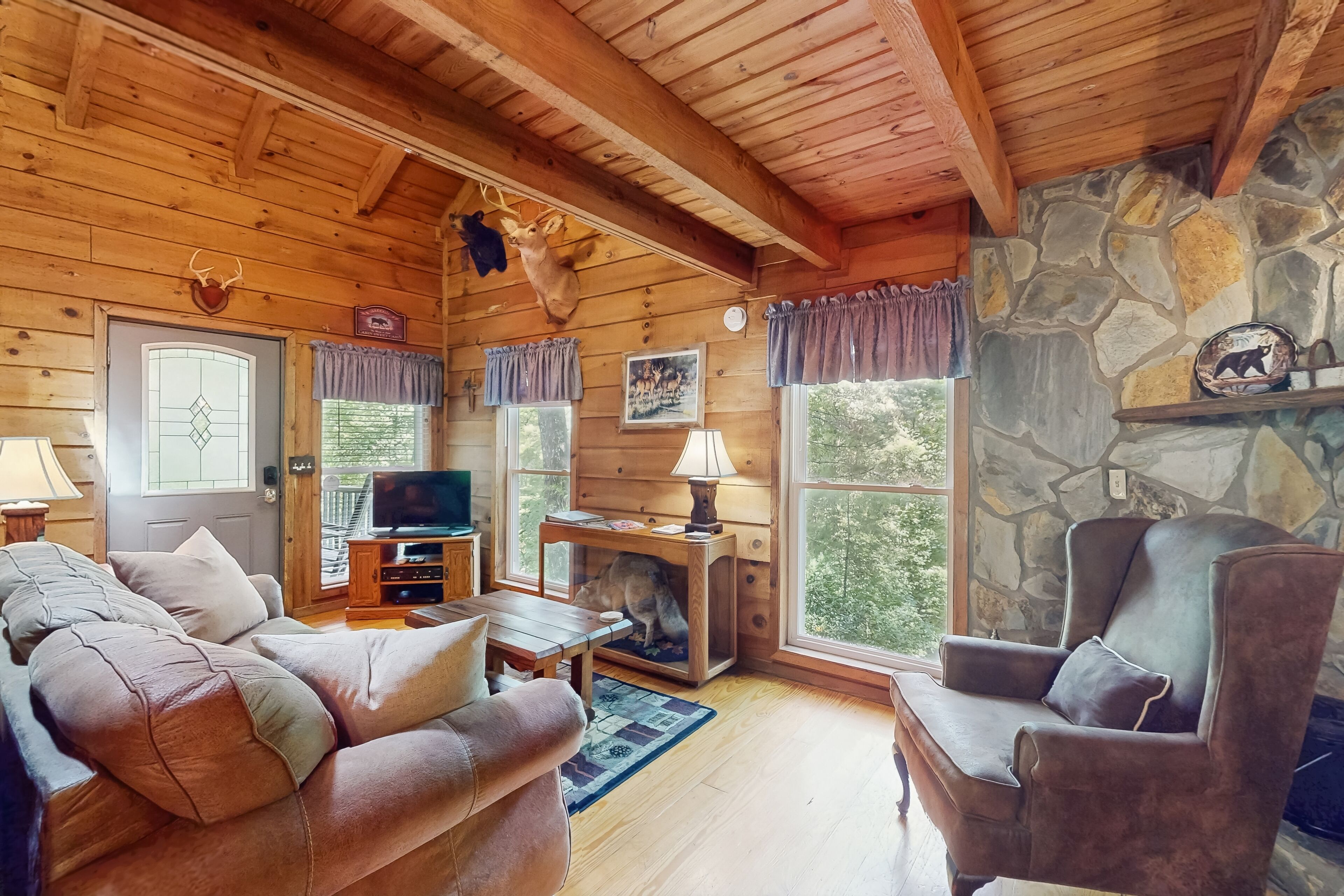 Télévision, cheminée, lecteur de DVD, chaîne hi-fi