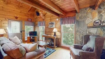 Télévision, cheminée, lecteur de DVD, chaßne hi-fi