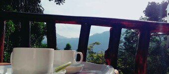 Unique place and very silence for the relax