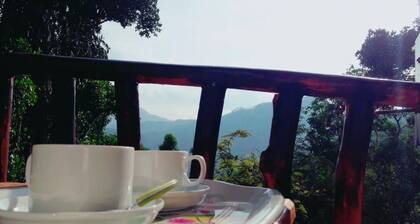 Unique place and very silence for the relax