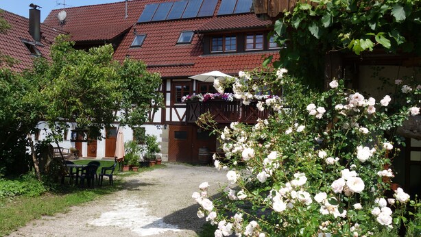A rustic building with a gravel path, a wooden fence, and a rose bush in the foreground. - FeWo Frank Rudersberg, 1-3 people, (Rudersberg)