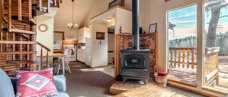 TV, fireplace, books, stereo