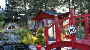 A red bridge over a pond with a stone structure and a red lantern.