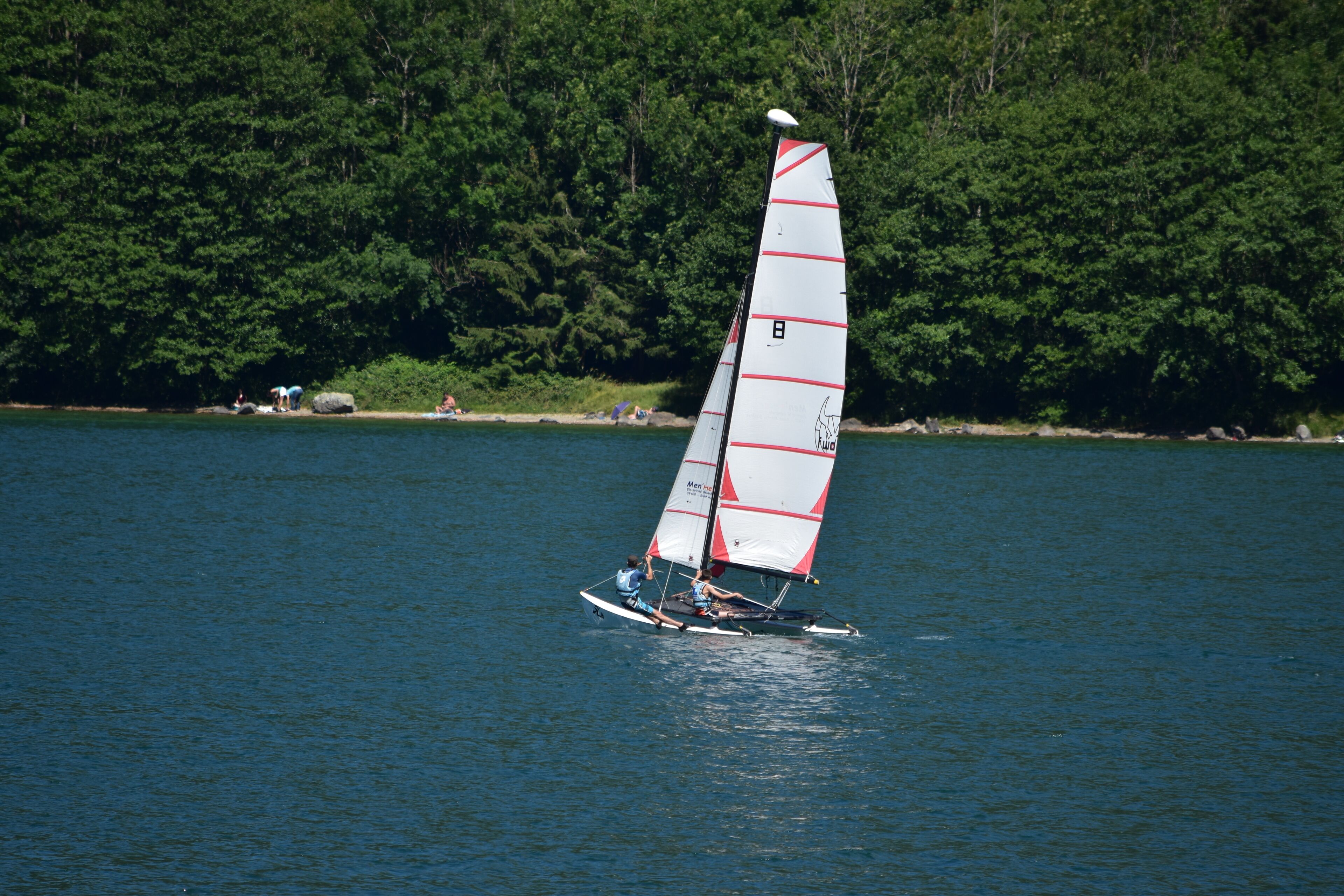 Un velero en un lago con una orilla boscosa al fondo.