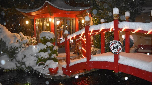 A snow-covered bridge with a traditional red structure and a snow-covered tree in the foreground.