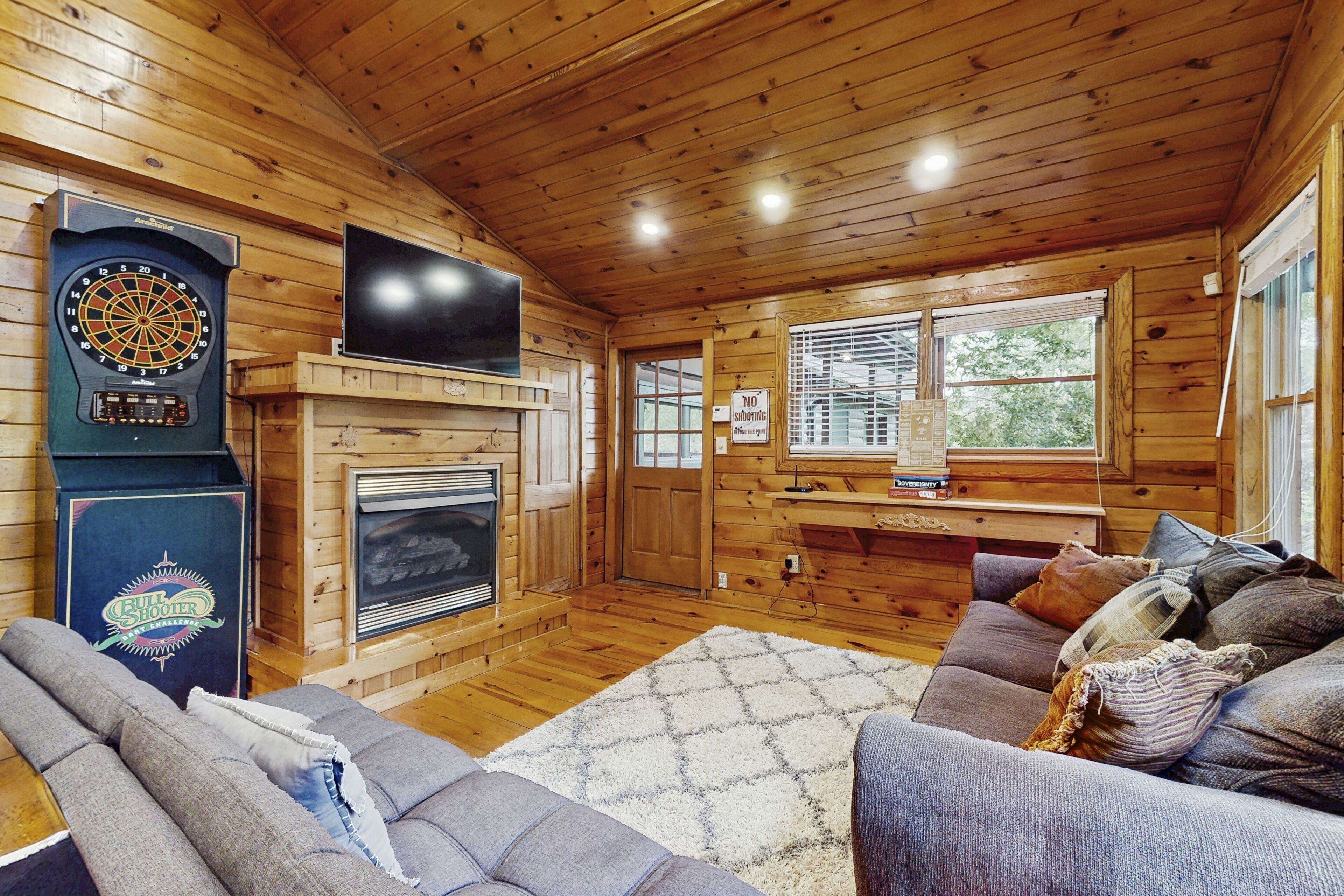 Télévision, cheminée, jeux vidéo, lecteur de DVD