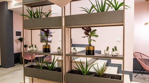 A modern interior with a multi-tiered shelving unit displaying various plants and decorative items. - Allure Boutique Hotel (Tirana)