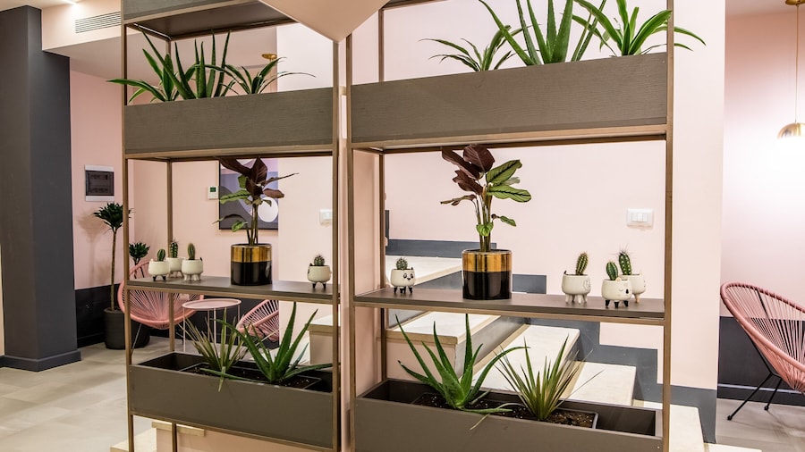 Allure Boutique Hotel