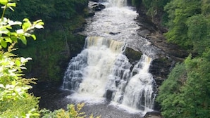 Una cascata che si getta da una scogliera rocciosa, circondata da vegetazione lussureggiante.