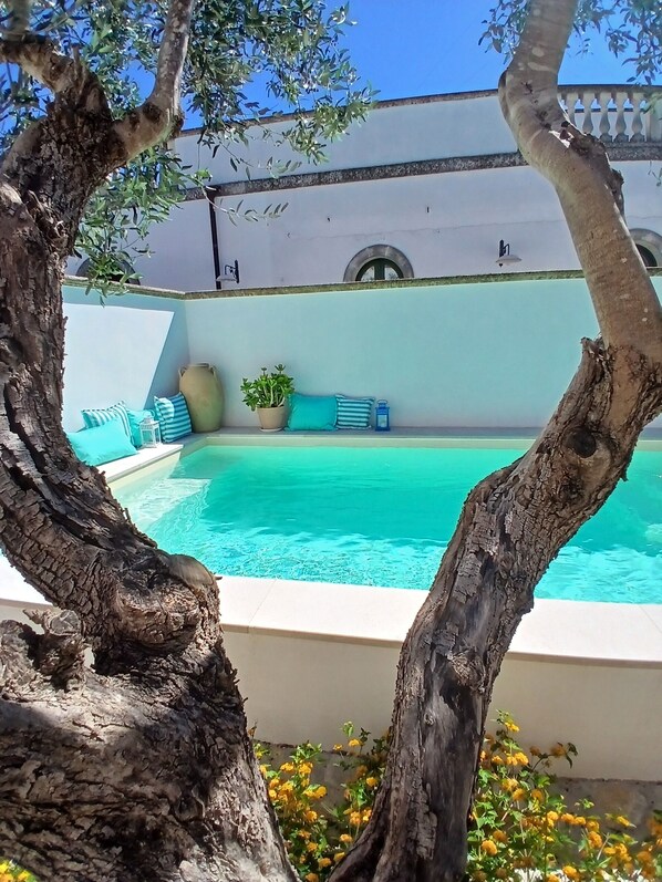 A swimming pool with a white wall and a tree in the foreground.