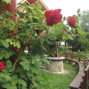 Jardim