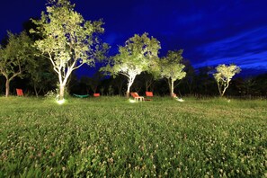 Garden - Conacul Bunicilor (Baia de Fier)