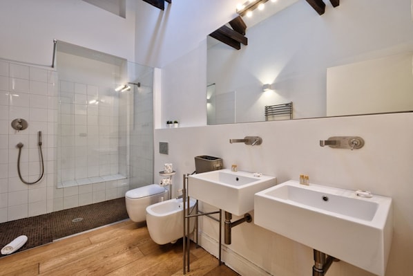 Shower, hair dryer, bidet, towels
