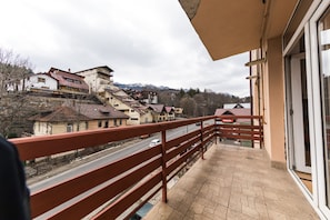 View from property - Apartment Datcu (Sinaia)