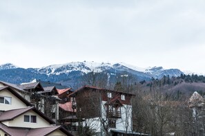 Mountain view - Apartment Datcu (Sinaia)