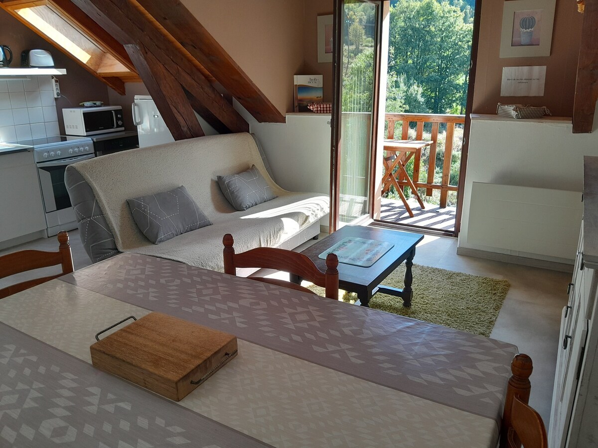 Imagen de perfil del propietario o de la propietaria