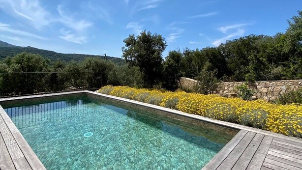 A rectangular pool with clear water, surrounded by a wooden deck and yellow flowers. - NEW VILLA **** 145m² - Heated swimming pool - Close to L'Ile-Rousse beaches (MONTICELLO)