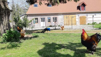 Terrein van de accommodatie