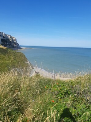 Un paysage côtier avec des falaises et une plage.