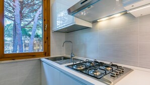 Eine moderne Küche mit Gasherd, Edelstahl-Spüle und Blick auf Bäume.