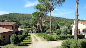 Una proprietà rurale con un vialetto sterrato che conduce a una casa con tetto in tegole.