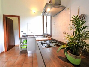 A compact kitchen with a gas stove, a sink, and a stainless steel range hood. There is a potted plant on the right and a window providing natural light. - Beautiful apartment in villa for 2 guests with WIFI, pool, TV and patio (Roccastrada)