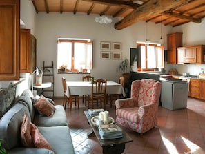 Televisión, chimenea