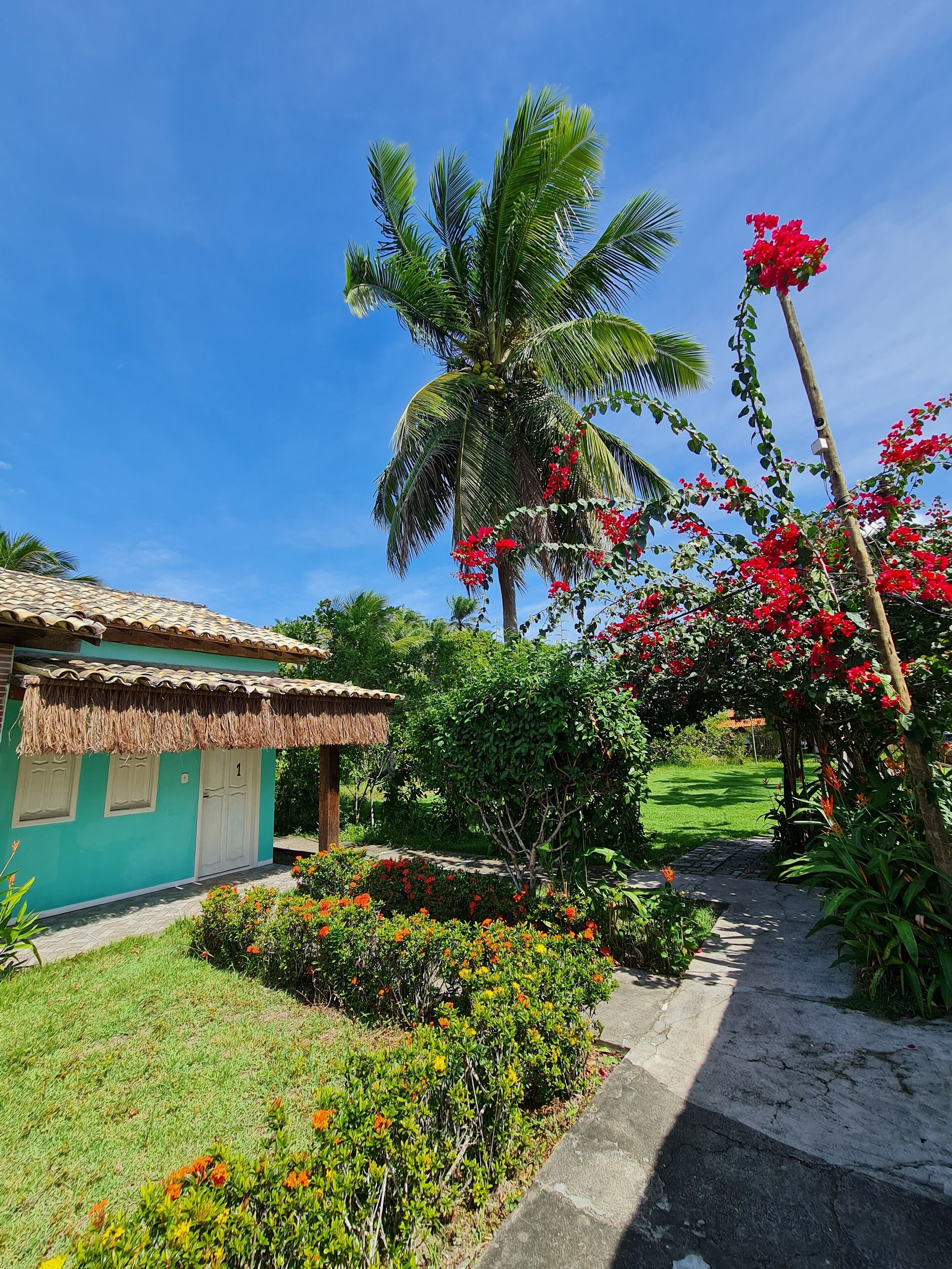 Jardín