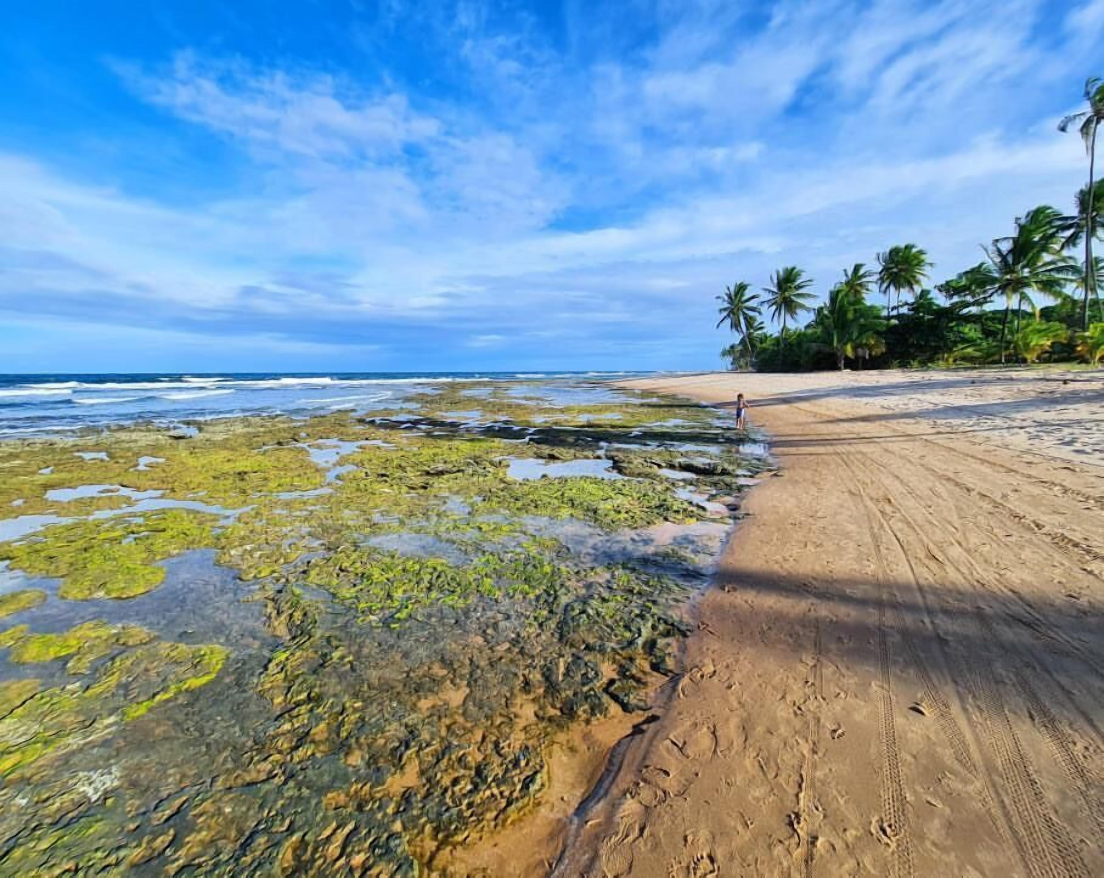 ชายหาด