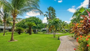 A well-maintained garden with palm trees and a paved walkway.