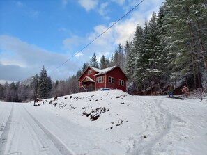 Exterior - Spacious 3-Story Home, 4 bedrooms, Sleeps 12, Easy Trailer Parking (Detroit)