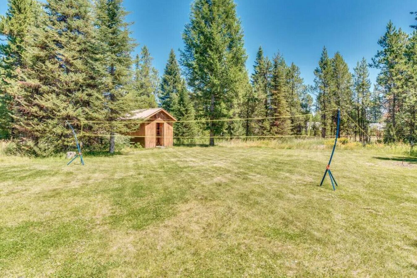 A grassy outdoor area with a small wooden structure, possibly a shed, surrounded by tall trees.