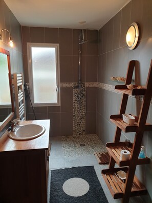 Combined shower/tub, hair dryer, soap, toilet paper