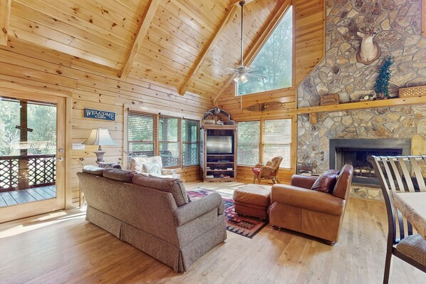 TV, fireplace, DVD player