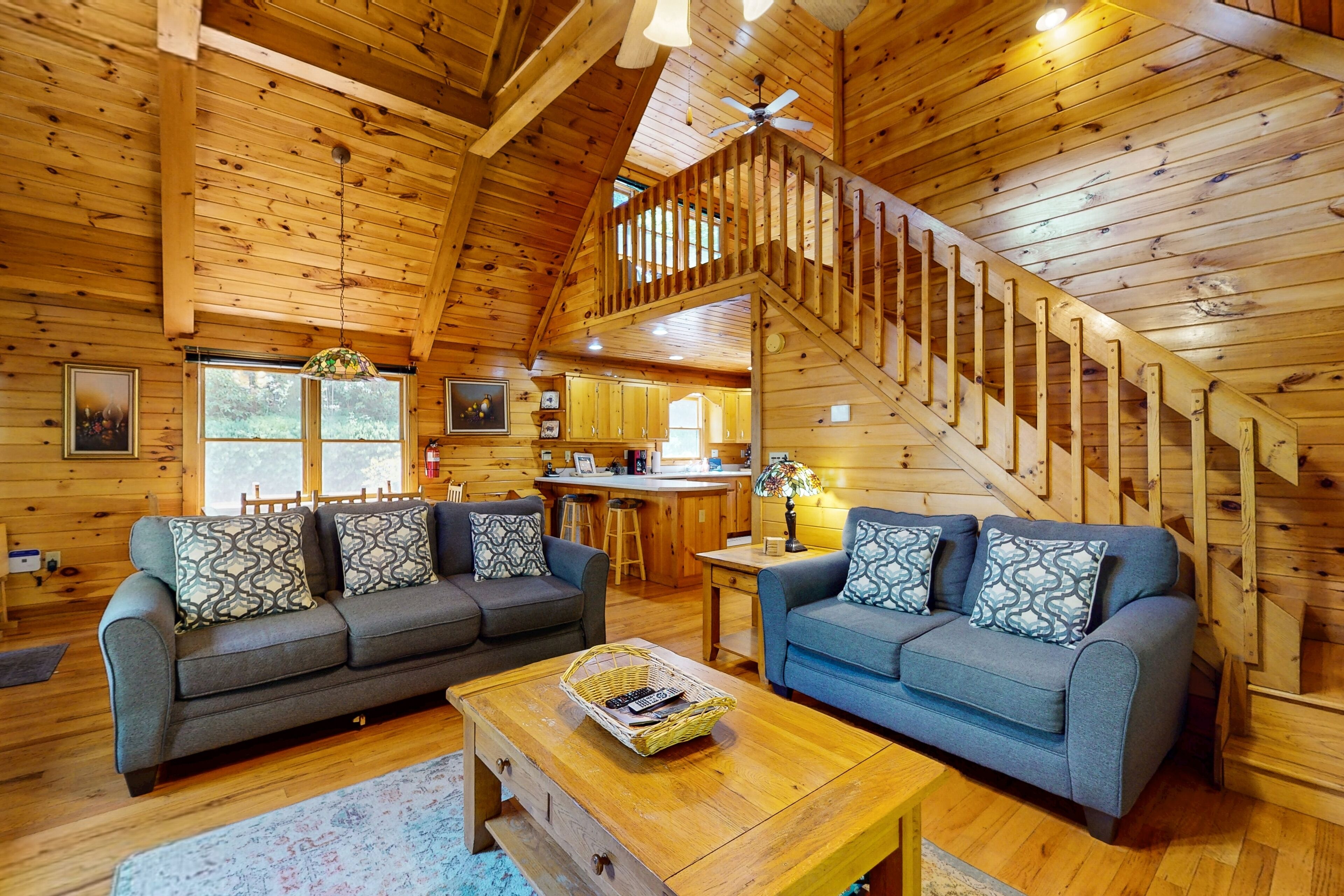 TV, fireplace, DVD player