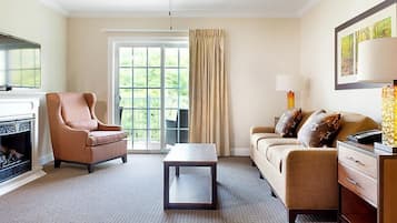 TV, fireplace, video games, DVD player