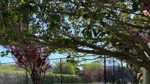 住宿场地
