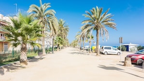 A sunny street lined with palm trees and parked cars.