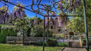 Ein Garten mit violetten Glyzinien, einer Steinmauer und einem Gebäude mit einer Treppe.