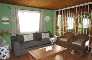 智能电视、壁炉、Netflix、流媒体服务