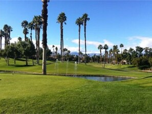 A golf course with well-maintained grass, palm trees, and a pond.