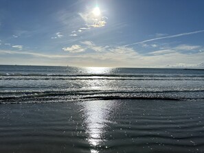 بالقرب من الشاطئ