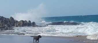 64 Garrick single unit